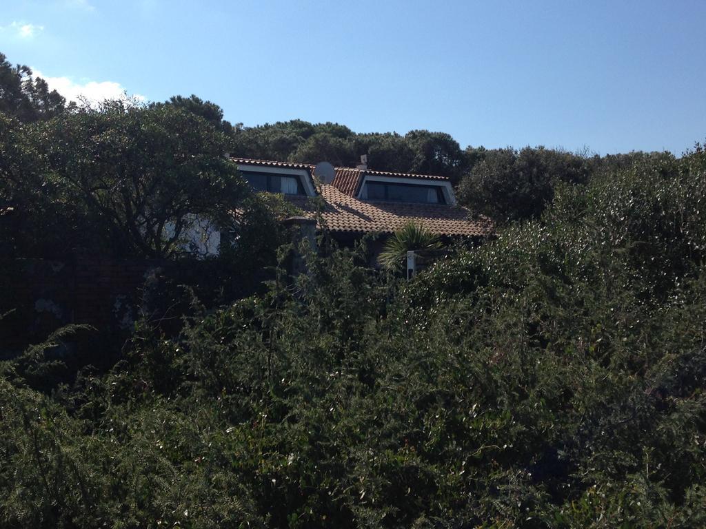 Villa Giannella ออร์เบเตลโล ภายนอก รูปภาพ