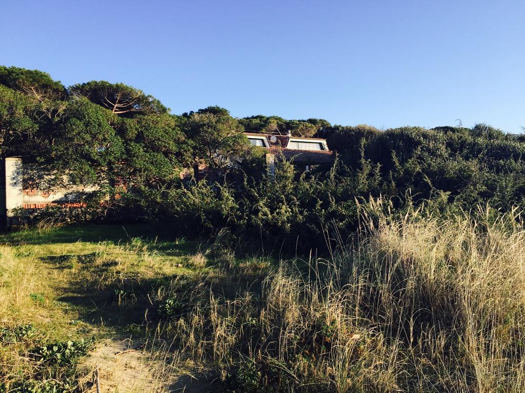 Villa Giannella ออร์เบเตลโล ภายนอก รูปภาพ